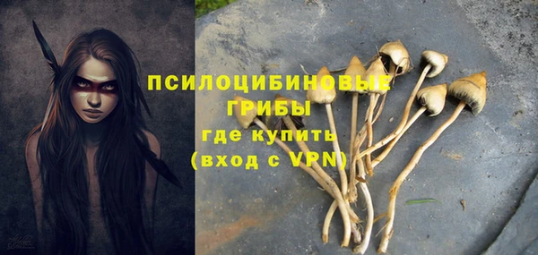бошки Сатка