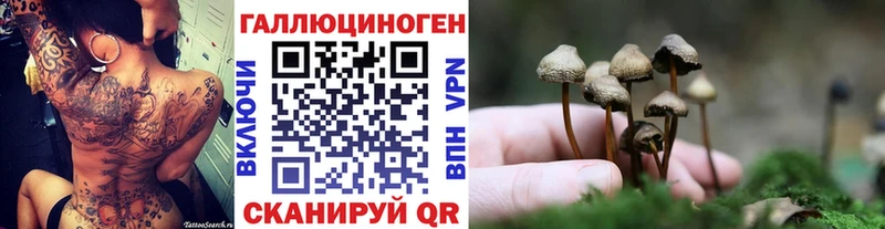 как найти закладки  Буинск  Галлюциногенные грибы MAGIC MUSHROOMS 